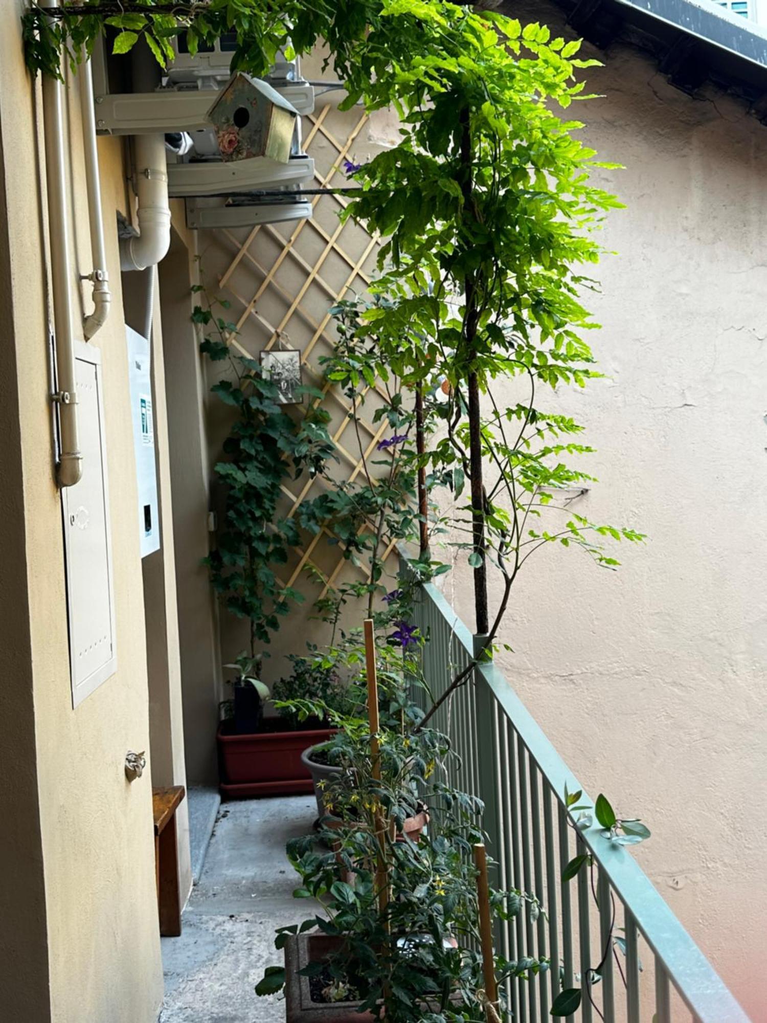 トリノIl Balconcino Del Centro Storicoアパートメント エクステリア 写真