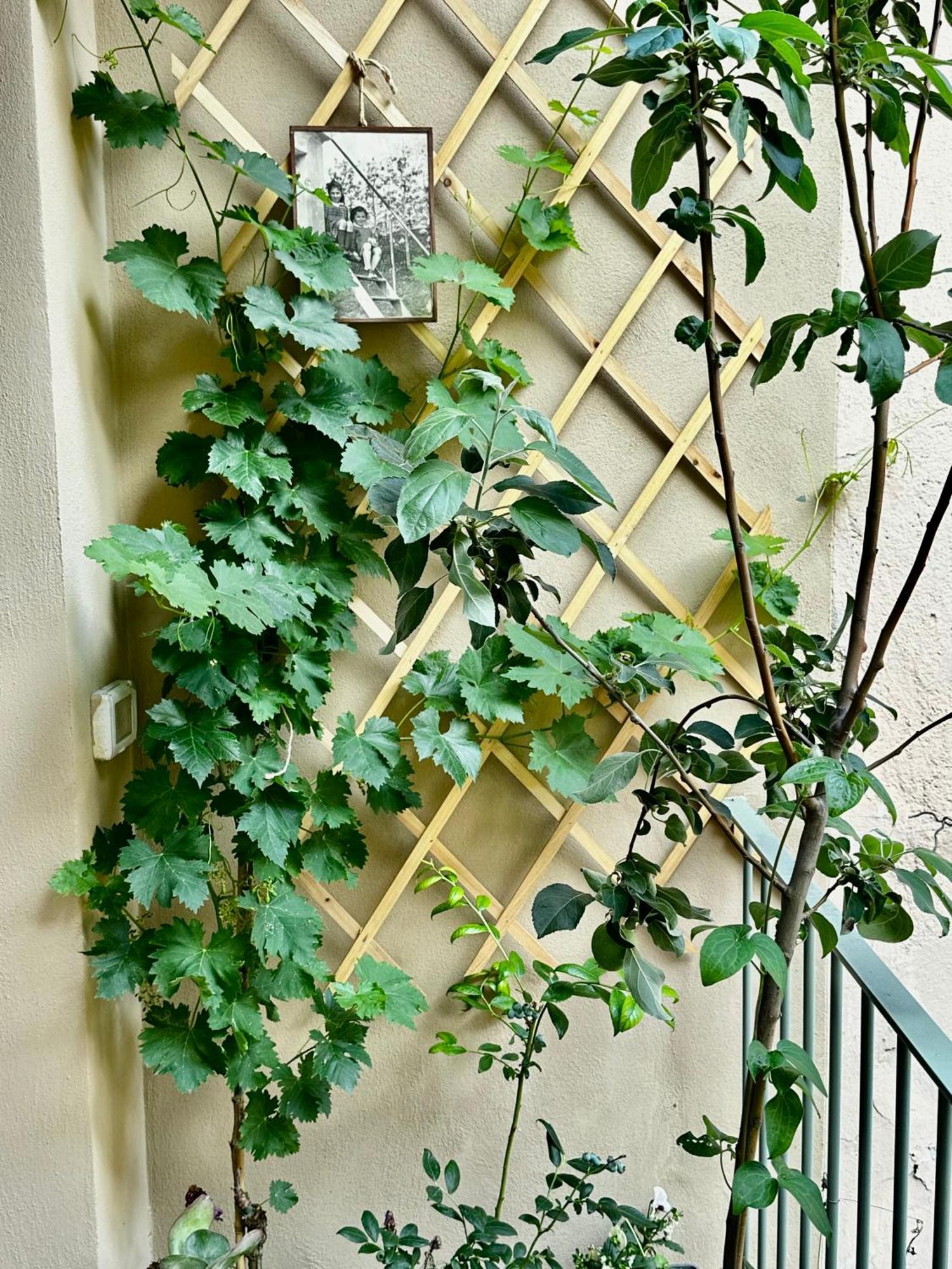 トリノIl Balconcino Del Centro Storicoアパートメント エクステリア 写真